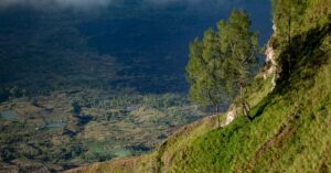 Hill Stations Near Chandigarh